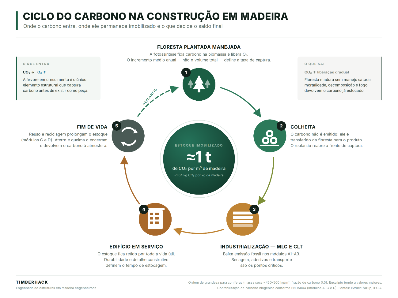Quanto CO₂ uma estrutura de madeira realmente armazena e por quanto tempo